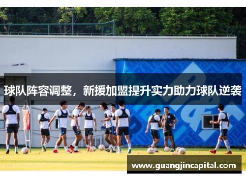 球队阵容调整，新援加盟提升实力助力球队逆袭