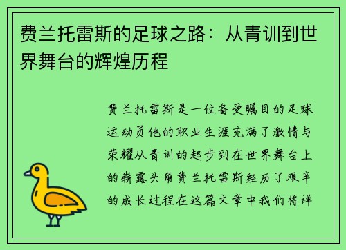 费兰托雷斯的足球之路：从青训到世界舞台的辉煌历程